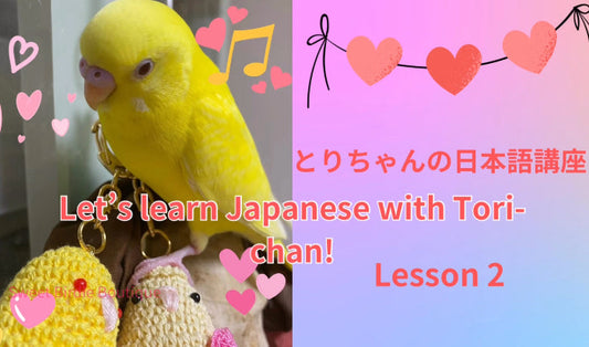 Let's learn Japanese with Tori-chan Lesson 2 Daijoubu dayo
