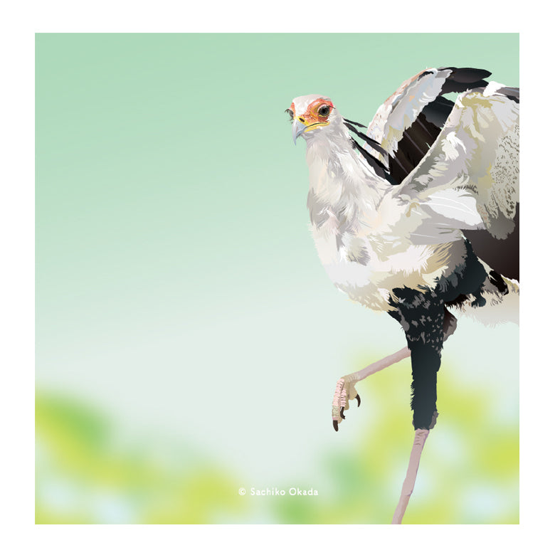 Secretary Bird Sticky Notes