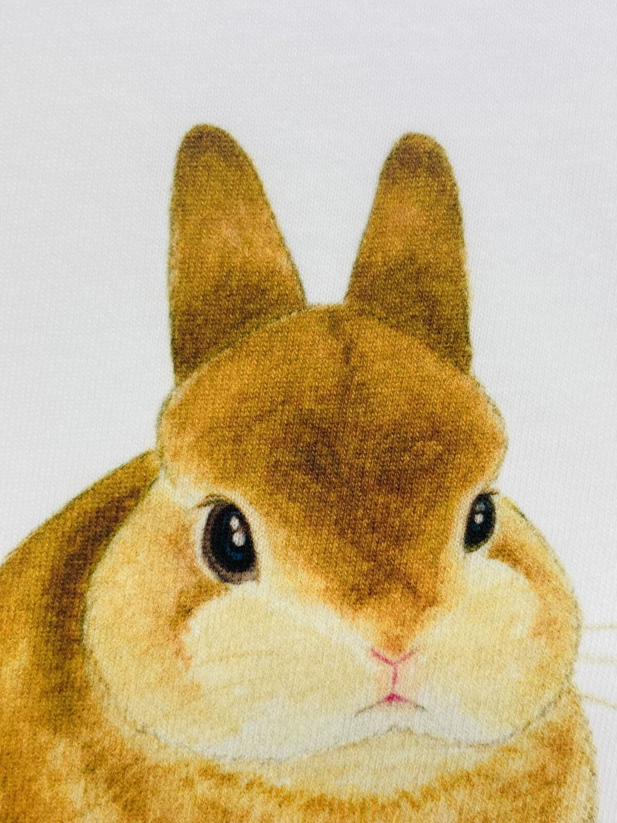 Rabbit and Donut Loose Fit T-Shirt (Made to Order)