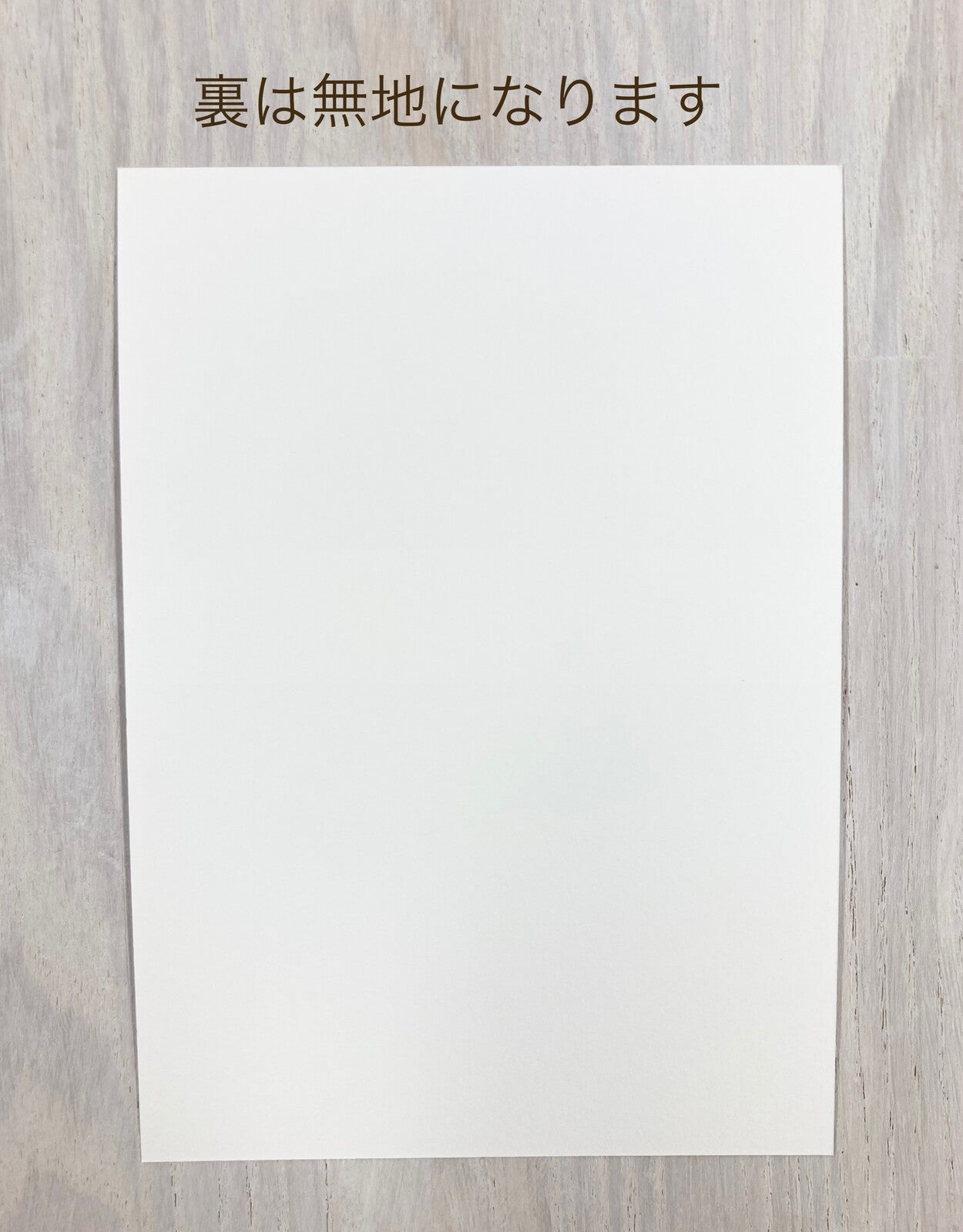 Budgie Paradise Postcard