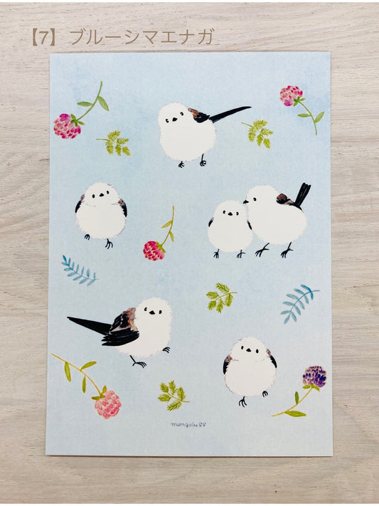 Long-tailed Tit Postcard