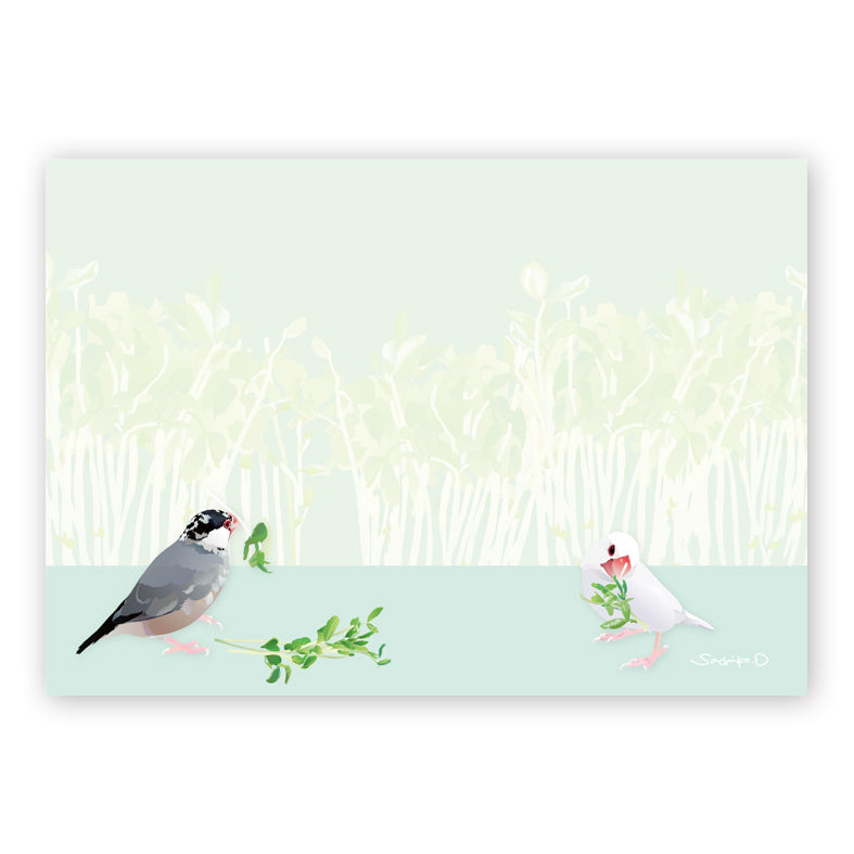 Java Sparrow Memo Pad