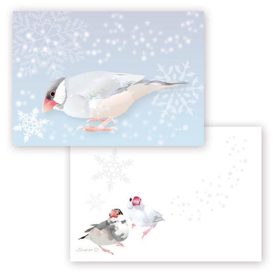Java Sparrow Memo Pad