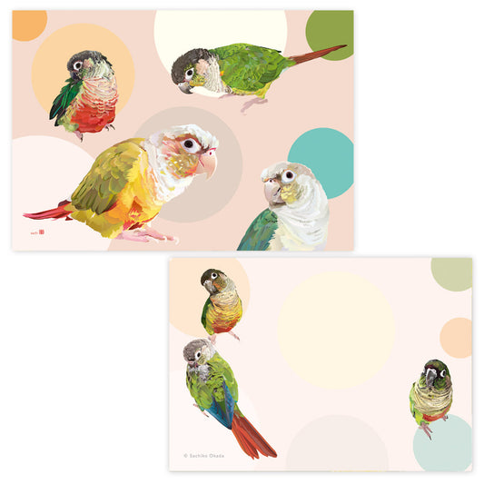 Conure Memo Pad