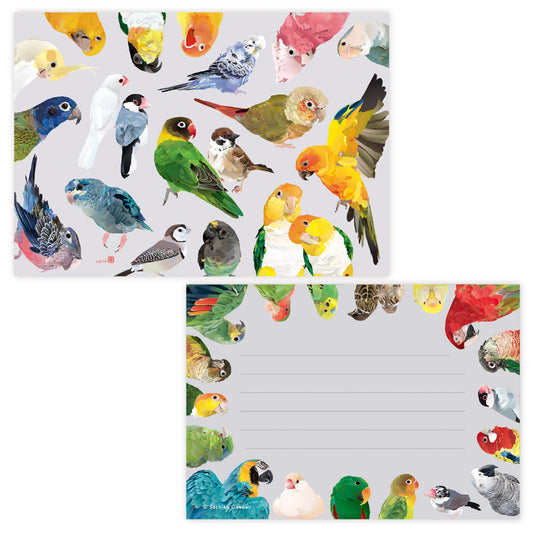 Memo Pad VIVID BIRDS