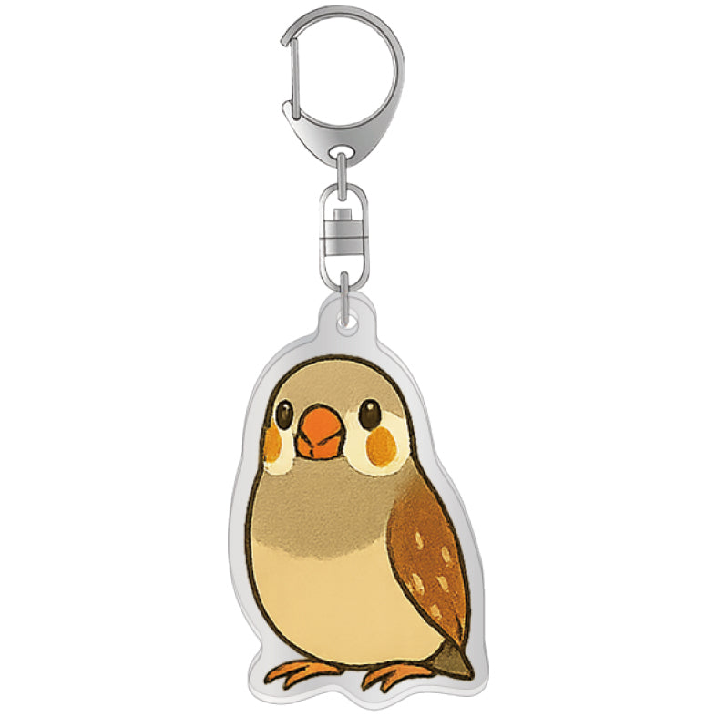 (Made-to-order requests are currently closed. Please wait until we reopen.) Made-to-Order Society Finch Acrylic Key Holder
