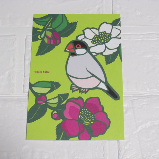 Java Sparrow Postcard