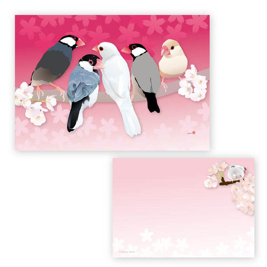 Java Sparrow Memo Pad