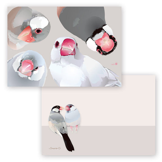 Java Sparrow Memo Pad