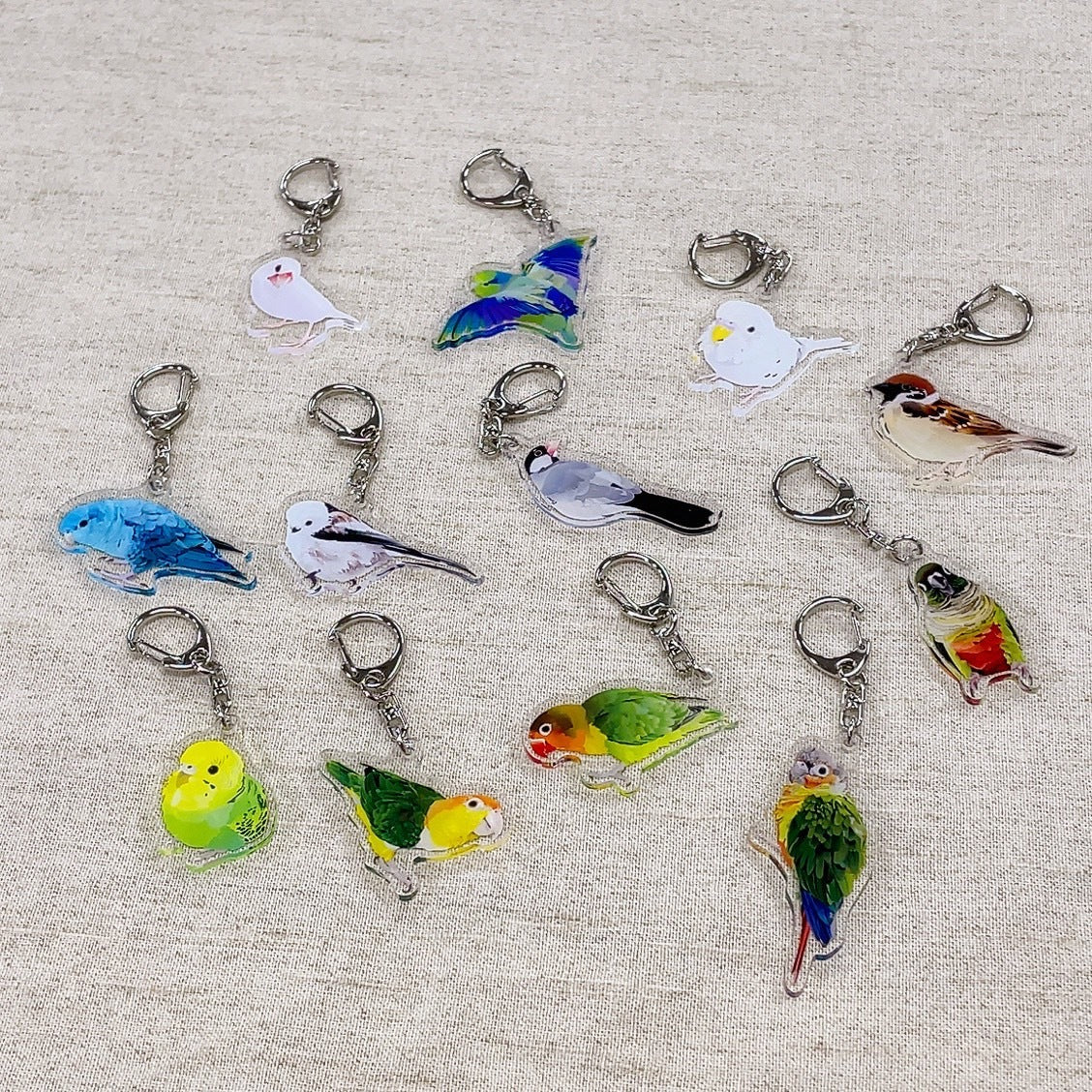 (Made-to-order requests are currently closed. Please wait until we reopen.) Made-to-Order White-Bellied Caique Acrylic Key Holder