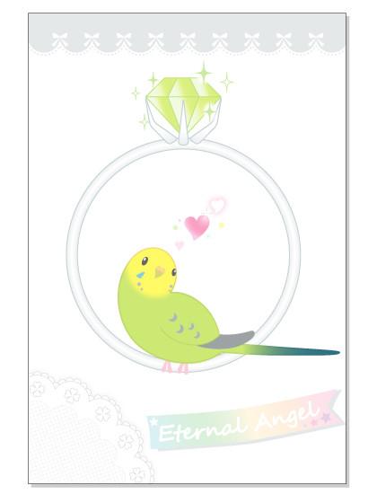 Budgie Budgerigar Parakeet Postcard - Boutique SWEET BIRDIE