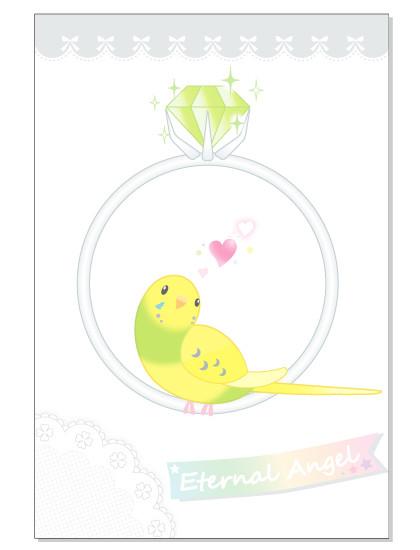 Budgie Budgerigar Parakeet Postcard - Boutique SWEET BIRDIE