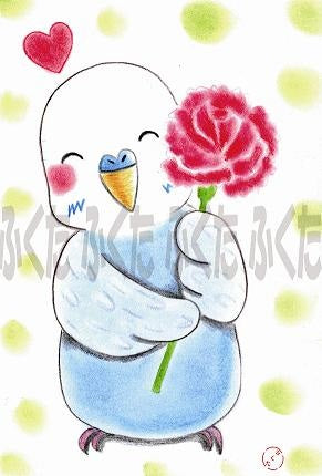 Budgie Budgerigar Parakeet Postcard Fukuta-63 - Boutique Sweet Birdie