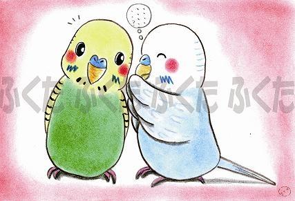 Budgie Budgerigar Parakeet Postcard - Boutique SWEET BIRDIE