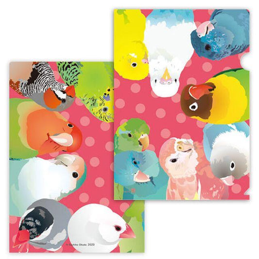 A4 File Folder Organizer Zebra Finch Budgie Budgerigar Parakeet Pacific Parrotlet  Lovebird Bourke's Parakeet Java Sparrow - Boutique SWEET BIRDIE