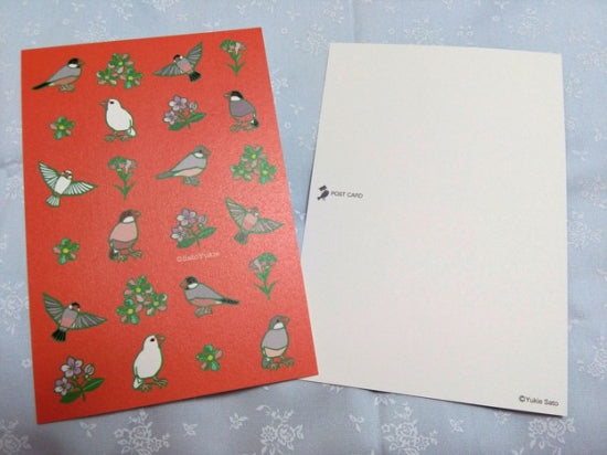 Java Sparrow Postcard Yukie-44 - Boutique SWEET BIRDIE