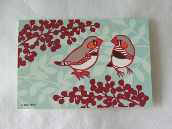Zebra Finch Postcard Yukie-50 - Boutique SWEET BIRDIE