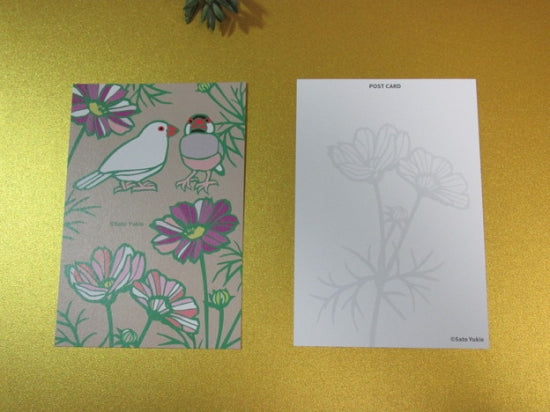 Java Sparrow Postcard Yukie-53 - Boutique Sweet Birdie