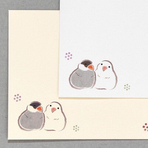 Mini Envelope Budgerigar Java Sparrow