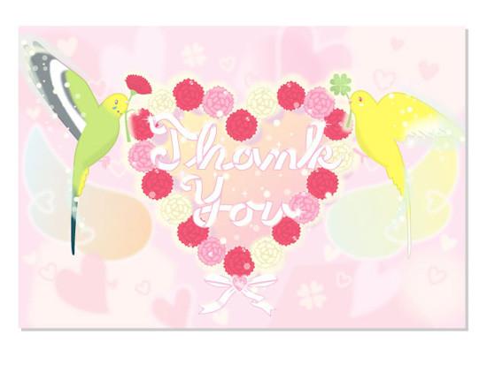 Budgie Budgerigar Parakeet Postcard - Boutique SWEET BIRDIE