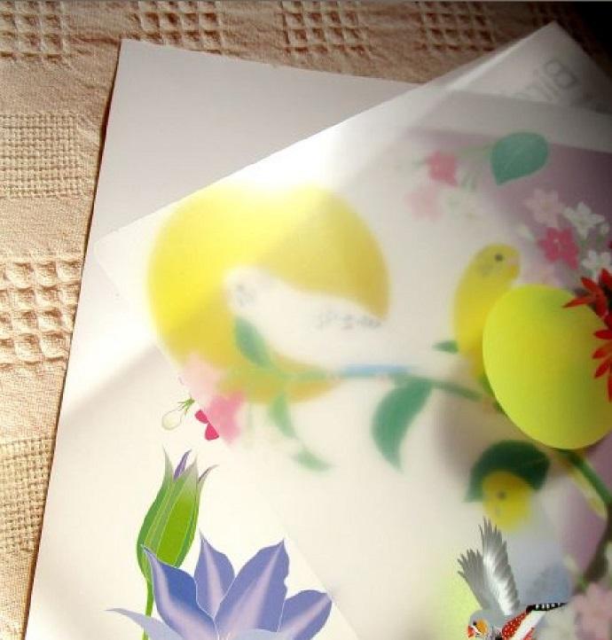 A4 File Folder Organizer Birds & Flowers