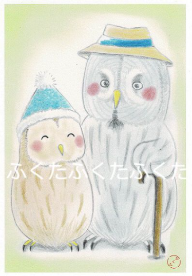 Owl Postcard