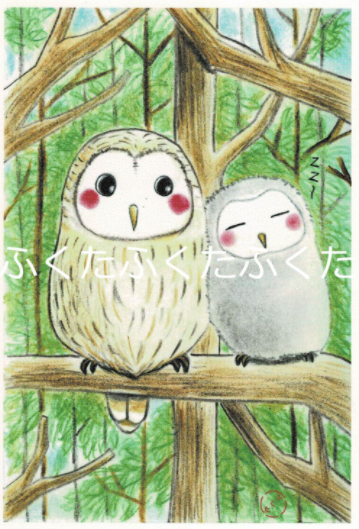 Owl Postcard