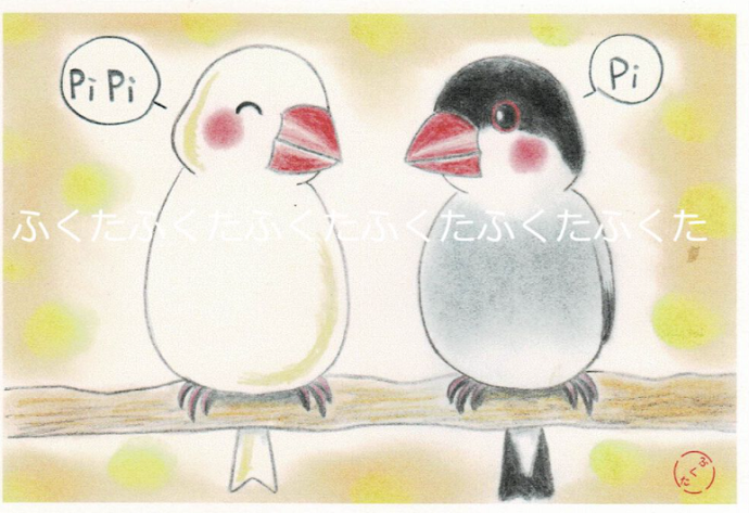 Java Sparrow Postcard
