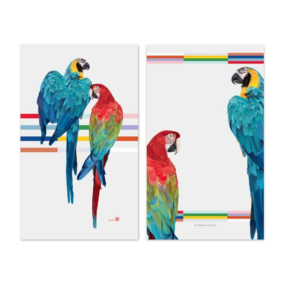 Set of 10 Macaw Mini Message Card