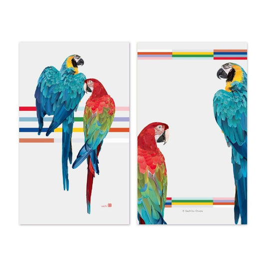 Sets of 10 Macaw Mini Message Card