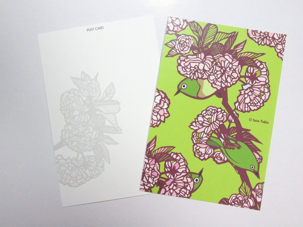 Japanese White-eye Postcard - Boutique SWEET BIRDIE