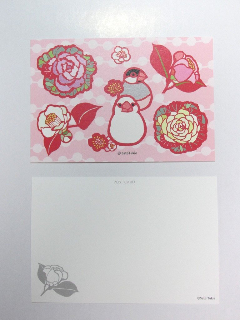 Java Sparrow Postcard - Boutique SWEET BIRDIE