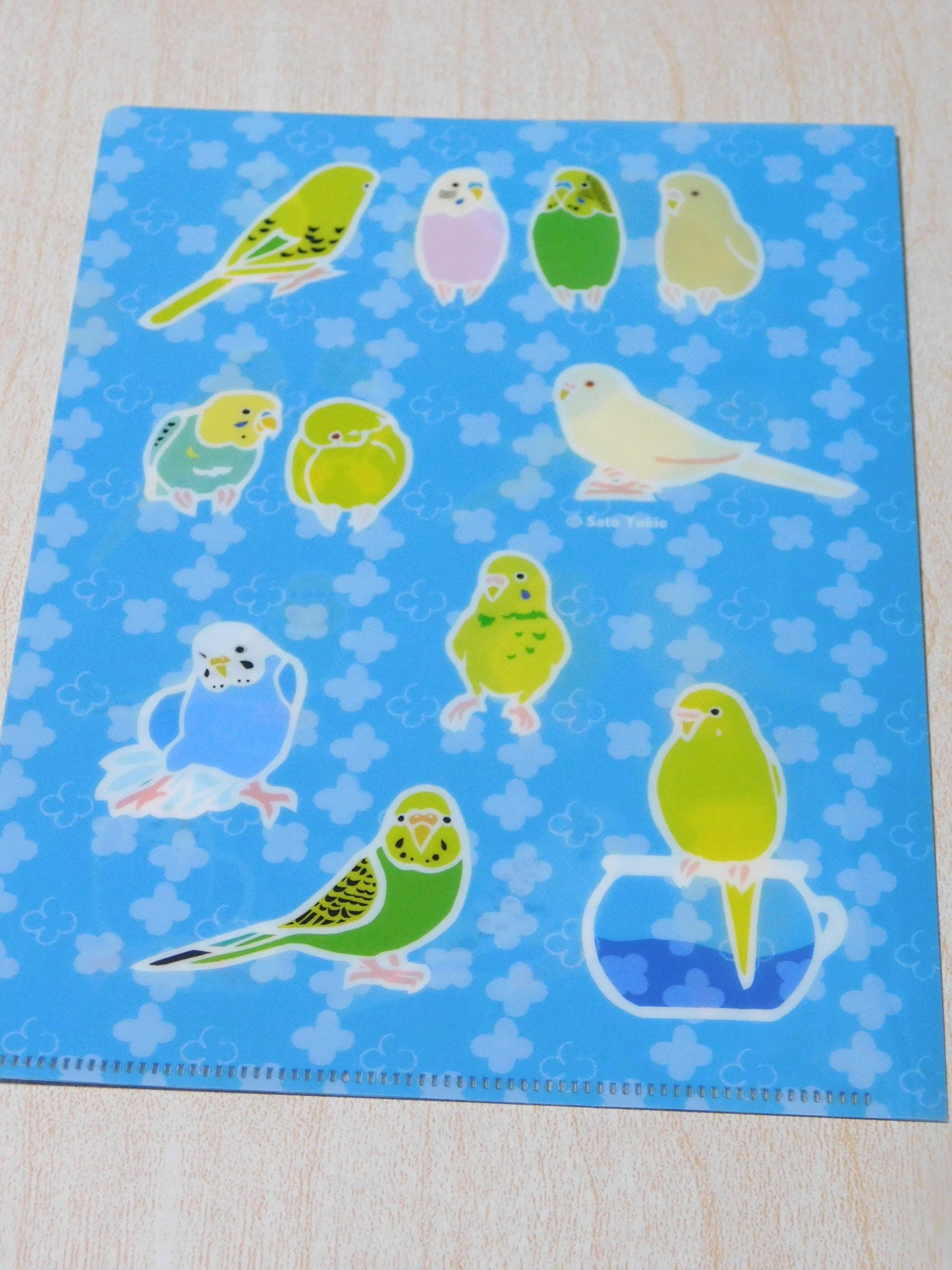Budgie A5 File Folder Organizer