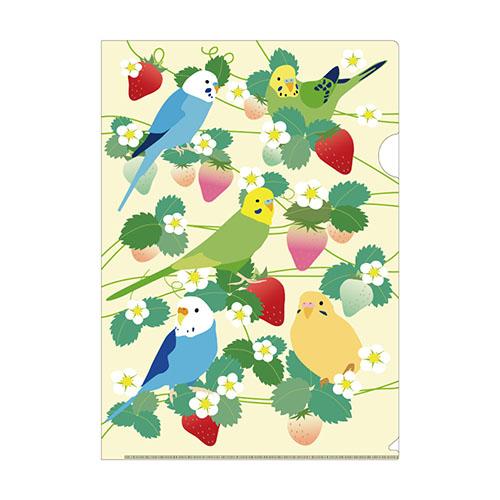 Budgie A4 File Folder Organizer