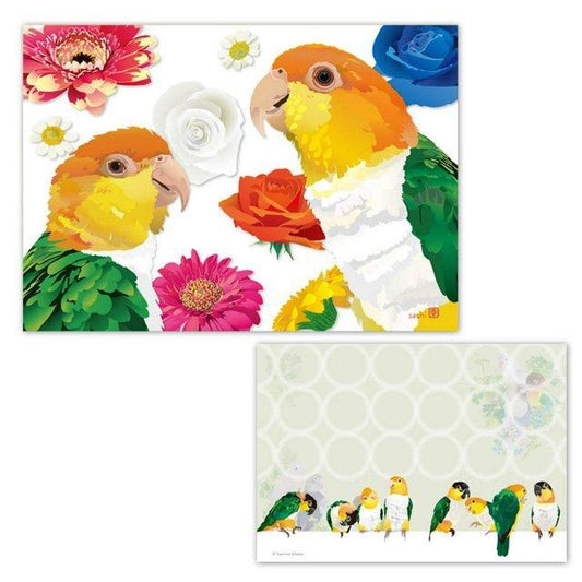 White-Bellied Caique & Black-Headed Caique Memo Pad