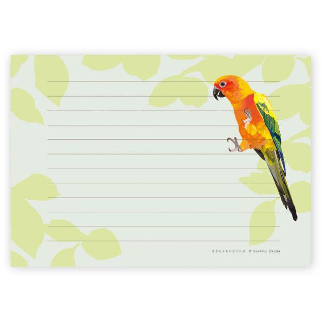 Sun Parakeet Memo Pad