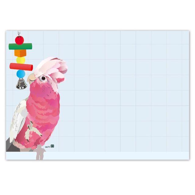 Memo Pad Indian Rose-necked Parakeet African Gray Parrot White-bellied Caique Black-headed Caique Galah Monk Parakeet Cockatiel Lorikeet Green-cheeked Parakeet Conure Macaw - Boutique SWEET BIRDIE