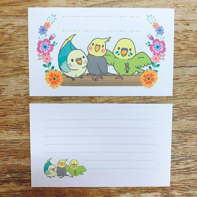 Set of 10 Mini Message Card Budgie Budgerigar Parakeet Cockatiel