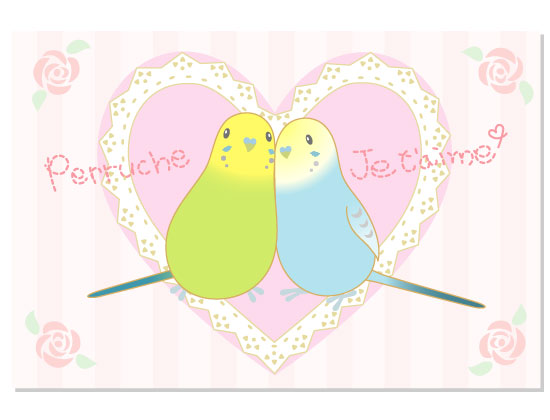Budgie Budgerigar Parakeet Postcard Pom-023 - Boutique SWEET BIRDIE
