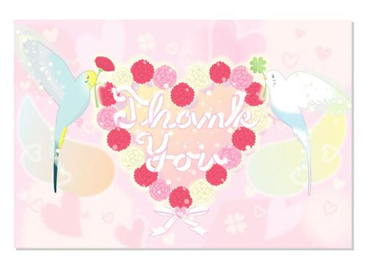 Budgie Budgerigar Parakeet Postcard - Boutique SWEET BIRDIE