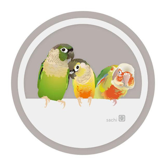 Conure Acrylic Coaster