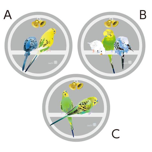 Budgie Acrylic Coaster