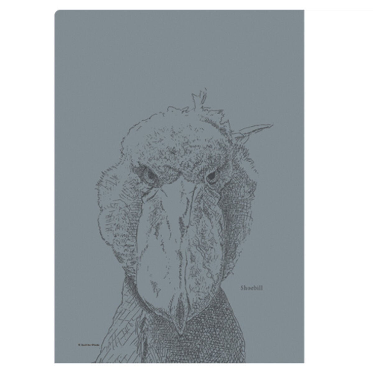 Shoebill A4 File folder Organizer