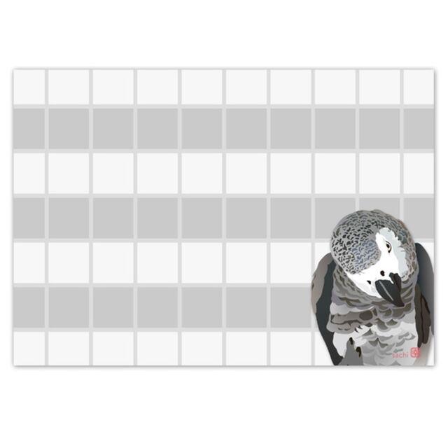 African Gray parrot Memo Pad - Boutique SWEET BIRDIE