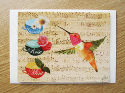 グリーティングカード ハチドリ 封筒付き二つ折りカード - 小鳥雑貨専門のお店 スウィート・バーディー・ブティック