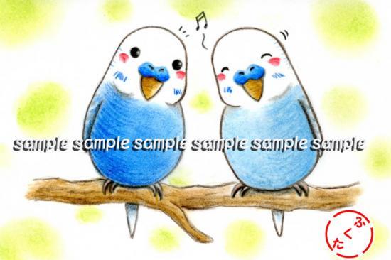 Budgie Budgerigar Parakeet Postcard - Boutique SWEET BIRDIE