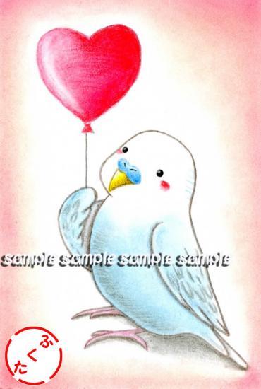 Budgie Budgerigar Parakeet Postcard - Boutique SWEET BIRDIE