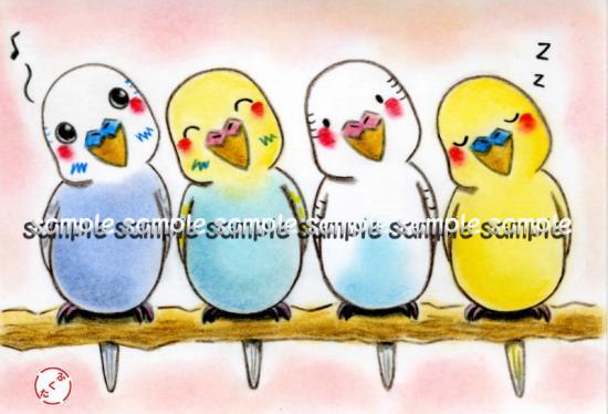 Budgie Budgerigar Parakeet Postcard - Boutique SWEET BIRDIE