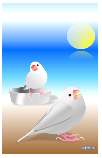 Java Sparrow Postcard