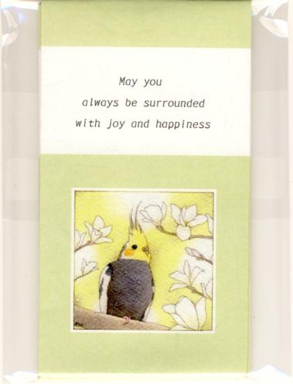 Sets of 3 Cockatiel Mini Envelopes - Boutique SWEET BIRDIE